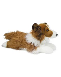 Langhaar Collie Kuscheltier Hund in liegender Haltung in den Farvariante Braun-Weiß.