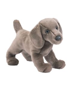  Douglas Cuddle Toys Weimaraner Kuscheltier Hund Cassie mit grauem Fell und hellblauen Augen.